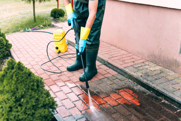 Best Playground Equipment Cleaning  in Ferndale, MI