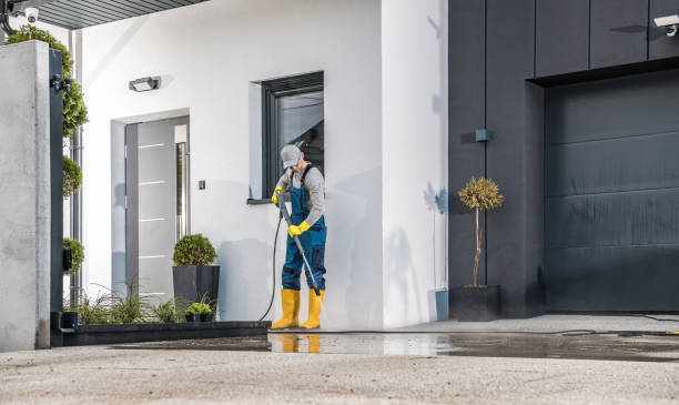 Best Sidewalk and Walkway Cleaning  in Ferndale, MI